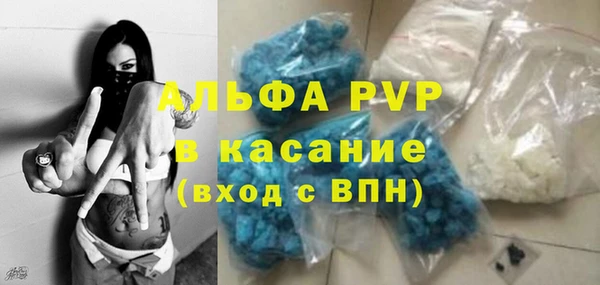 ПСИЛОЦИБИНОВЫЕ ГРИБЫ Михайлов