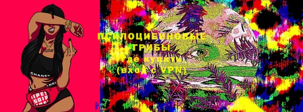 прущий лед Михайловск