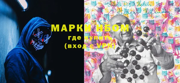 ПСИЛОЦИБИНОВЫЕ ГРИБЫ Михайлов