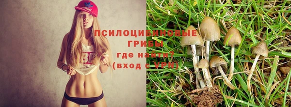 прущий лед Михайловск