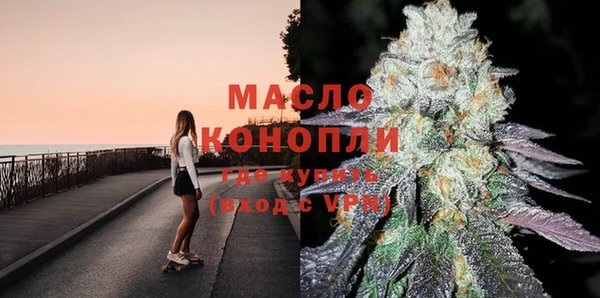 индика Медвежьегорск