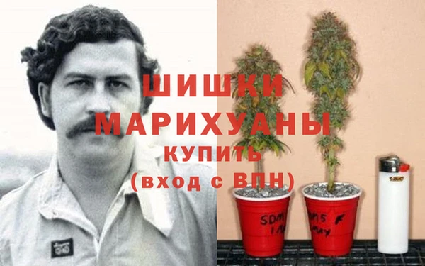 бошки Медногорск