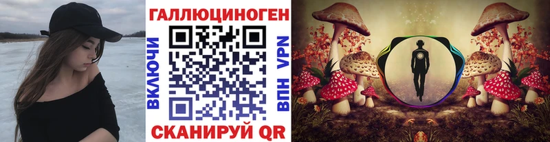 закладки Тогучин Псилоцибиновые грибы мухоморы