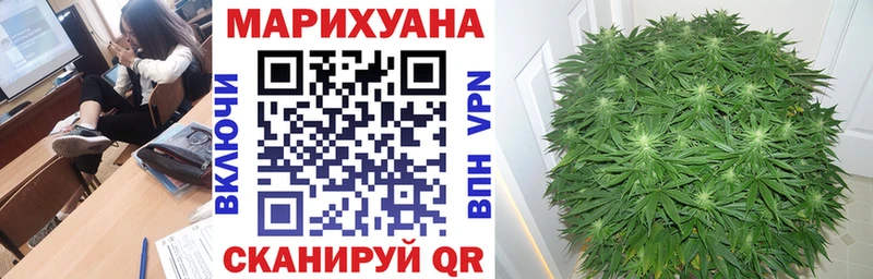 Бошки марихуана марихуана  Тогучин 